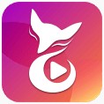 5178在线观看软件大全