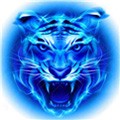 尤物视频yw193app在线下载